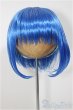 画像1: 8-9inch/ウィッグ/インチ　BJD　MJD　ドール用 A-25-07-02-172-NY-ZA (1)