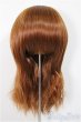 画像1: 8-9inch/ウィッグ/インチ　BJD　MJD　ドール用 A-25-07-09-246-NY-ZA (1)