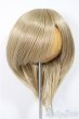 画像1: 8-9inch/ウィッグ/インチ　BJD　MJD　ドール用 A-25-07-09-247-NY-ZA (1)