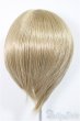 画像2: 8-9inch/ウィッグ/インチ　BJD　MJD　ドール用 A-25-07-09-247-NY-ZA (2)