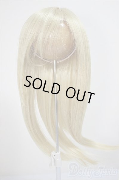 画像1: 8-9inch/ウィッグ/インチ　BJD　MJD　ドール用 A-25-10-22-352-NY-ZA (1)