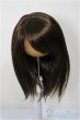 画像1: 8-9inch/ウィッグ/インチ　BJD　MJD　ドール用 A-25-07-16-127-NY-ZA (1)