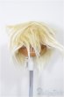 画像1: 6-7inch/ウィッグ/インチ　BJD　MJD　ドール用 A-25-07-16-191-NY-ZA (1)