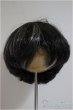 画像1: 8.5-9inch/ウィッグ/インチ　BJD　MJD　ドール用 A-25-07-16-236-TO-ZA (1)