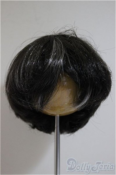 画像1: 8.5-9inch/ウィッグ/インチ　BJD　MJD　ドール用 A-25-07-16-236-TO-ZA (1)