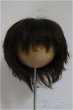 画像1: 8-9inch/ウィッグ/インチ　BJD　MJD　ドール用 A-25-07-16-237-TO-ZA (1)