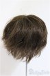 画像2: 8-9inch/ウィッグ/インチ　BJD　MJD　ドール用 A-25-07-16-237-TO-ZA (2)