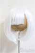 画像1: 9-10inch/ウィッグ/0 A-25-07-16-253-NY-ZA (1)