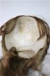 画像3: 7-8inch/ウィッグ/インチ　BJD　MJD　ドール用 A-25-10-22-366-NY-ZA (3)