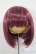 画像1: 8-9inch/ウィッグ　インソムニア様製/インチ　BJD　MJD　ドール用 A-25-07-16-316-NY-ZA (1)
