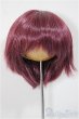 画像1: 9inch/ウィッグ　インソムニア様製/インチ　BJD　MJD　ドール用 A-25-07-16-309-NY-ZA (1)