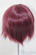 画像2: 9inch/ウィッグ　インソムニア様製/インチ　BJD　MJD　ドール用 A-25-07-16-309-NY-ZA (2)