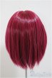 画像2: 8-9inch/ウィッグ/インチ　BJD　MJD　ドール用 A-25-07-23-108-NY-ZA (2)