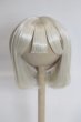 画像1: 8-9inch/ウィッグ/インチ　BJD　MJD　ドール用 A-25-08-06-090-NY-ZA (1)