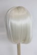 画像2: 8-9inch/ウィッグ/インチ　BJD　MJD　ドール用 A-25-08-06-090-NY-ZA (2)