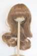 画像1: 8-9inch/ウィッグ/インチ　BJD　MJD　ドール用 A-25-08-06-066-NY-ZA (1)