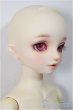 画像2: SDM/スタンダードモデル/BJD　球体関節人形 A-25-08-06-149-TO-ZA (2)