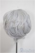 画像2: 8-9inch/ウィッグ/インチ　BJD　MJD　ドール用 A-25-07-30-191-TO-ZA (2)