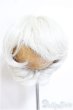 画像1: 8-9inch/ウィッグ/インチ　BJD　MJD　ドール用 A-25-07-23-317-TO-ZA (1)