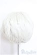画像2: 8-9inch/ウィッグ/インチ　BJD　MJD　ドール用 A-25-07-23-317-TO-ZA (2)