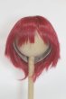 画像1: 8-9inch/ウィッグ/インチ　BJD　MJD　ドール用 A-25-08-06-072-NY-ZA (1)
