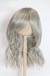 画像1: 8-9nch/ウィッグ 　CROBI製/インチ　BJD　MJD　ドール用 A-25-08-06-039-NY-ZA (1)