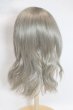 画像2: 8-9nch/ウィッグ 　CROBI製/インチ　BJD　MJD　ドール用 A-25-08-06-039-NY-ZA (2)