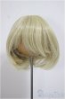 画像1: 8-9inch/ウィッグ/インチ　BJD　MJD　ドール用 A-25-07-30-190-NY-ZA (1)