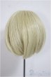 画像2: 8-9inch/ウィッグ/インチ　BJD　MJD　ドール用 A-25-07-30-190-NY-ZA (2)