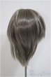 画像2: 8-9inch/ウィッグ/インチ　BJD　MJD　ドール用 A-25-07-30-180-TO-ZA (2)