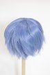 画像2: 8.5-9inch/ウィッグ/インチ　BJD　MJD　ドール用 A-25-08-06-065-NY-ZA (2)