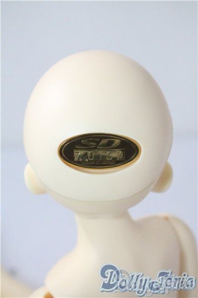 画像4: SDM子天使夕霧 U-25-08-05-216-TO-ZU (4)