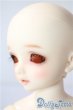 画像4: SDM女の子/コーディネートモデルF-50 U-25-08-12-218-TO-ZU (4)