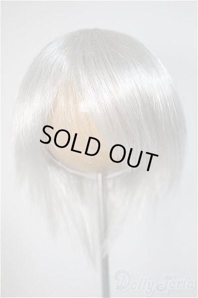 画像1: 8-9inch/ウィッグ/インチ　BJD　MJD　ドール用 A-25-10-22-372-TO-ZA (1)