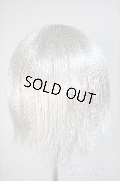 画像2: 8-9inch/ウィッグ/インチ　BJD　MJD　ドール用 A-25-10-22-372-TO-ZA (2)