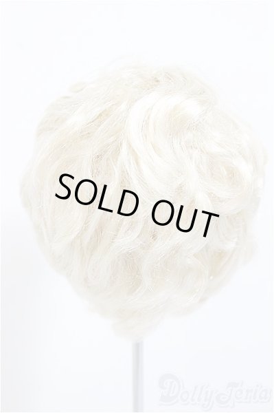 画像2: 8inch/ウィッグ/インチ　BJD　MJD　ドール用 A-25-10-08-544-NY-ZA (2)