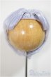 画像1: 8inch/ウィッグ/インチ　BJD　MJD　ドール用 A-25-08-06-119-NY-ZA (1)