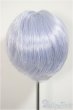 画像2: 8inch/ウィッグ/インチ　BJD　MJD　ドール用 A-25-08-06-119-NY-ZA (2)