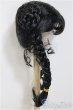 画像2: 9-10inch/ウィッグ/インチ　BJD　MJD　ドール用 A-25-08-06-194-NY-ZA (2)