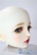 画像2: SDGｒ女の子/ソフィー　ヘッドのみ U-25-08-12-209-NY-ZU (2)