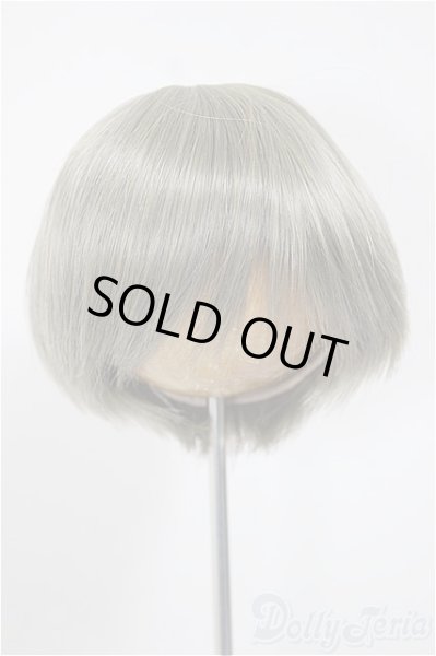 画像1: 8-9inch/ウィッグ/インチ　BJD　MJD　ドール用 A-25-08-13-126-NY-ZA (1)