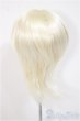 画像2: 9-10inch/ウィッグ/インチ　BJD　MJD　ドール用 A-25-08-13-122-NY-ZA (2)