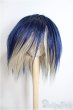 画像1: 9inch/ウィッグ/インチ　BJD　MJD　ドール用 A-25-08-20-357-NY-ZA (1)