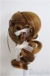 画像3: 6-7inch/ウィッグ/インチ　BJD　MJD　ドール用 A-25-08-20-345-NY-ZA (3)