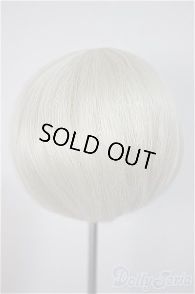 画像2: 8-9inch/ウィッグ/インチ　BJD　MJD　ドール用 A-25-10-22-360-NY-ZA (2)