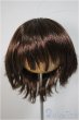 画像1: 8-9inch/ウィッグ/インチ　BJD　MJD　ドール用 A-25-10-22-357-NY-ZA (1)