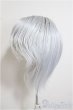 画像2: 8-9inch/ウィッグ/インチ　BJD　MJD　ドール用 A-25-08-20-389-NY-ZA (2)