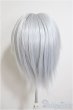 画像3: 8-9inch/ウィッグ/インチ　BJD　MJD　ドール用 A-25-08-20-389-NY-ZA (3)