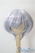 画像1: 8-9inch/ウィッグ U-25-09-02-067-NY-ZU (1)