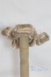 画像1: 5.5inch/ウィッグ A-25-09-03-051-NY-ZA (1)